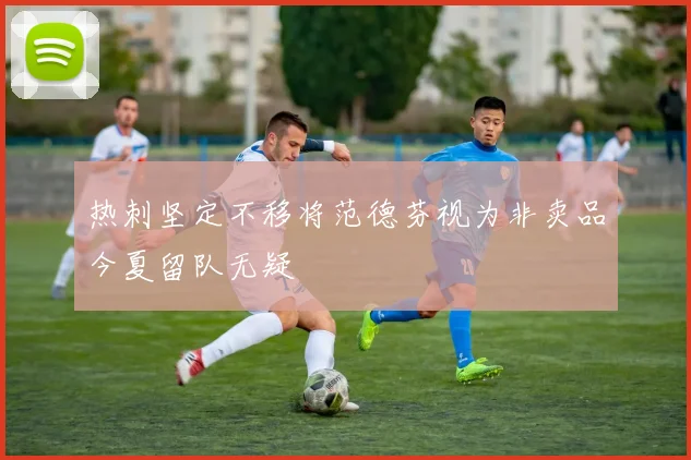 热刺坚定不移将范德芬视为非卖品今夏留队无疑