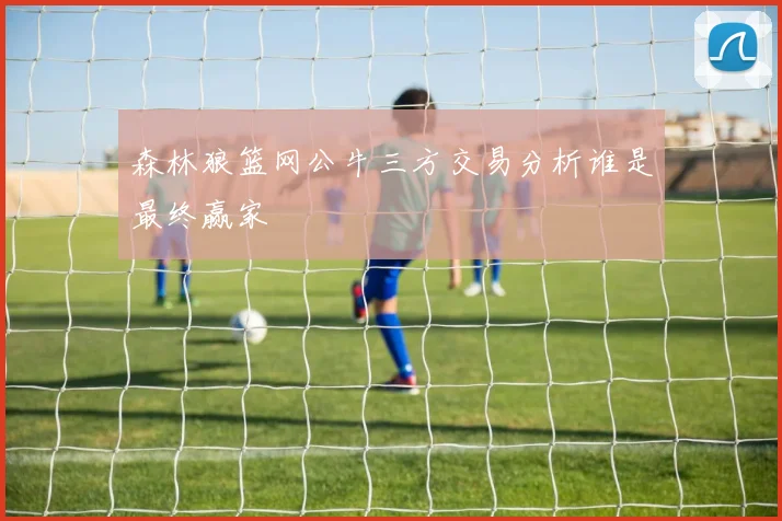 森林狼篮网公牛三方交易分析谁是最终赢家